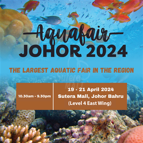 <div class='event-date'>19 Apr 2024 to 21 Apr 2024</div><div class='event-title'><h4>Aqua Fair Johor 2024</h4></div>