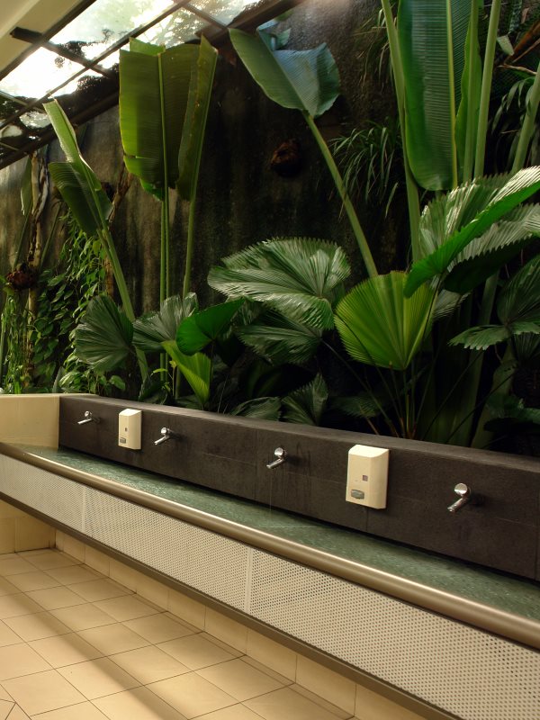 Lush greenery at Sutera Mall