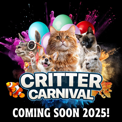 <div class='event-date'>29 May 2025 to 01 Jun 2025</div><div class='event-title'><h4>Critter Carnival 2025</h4></div>