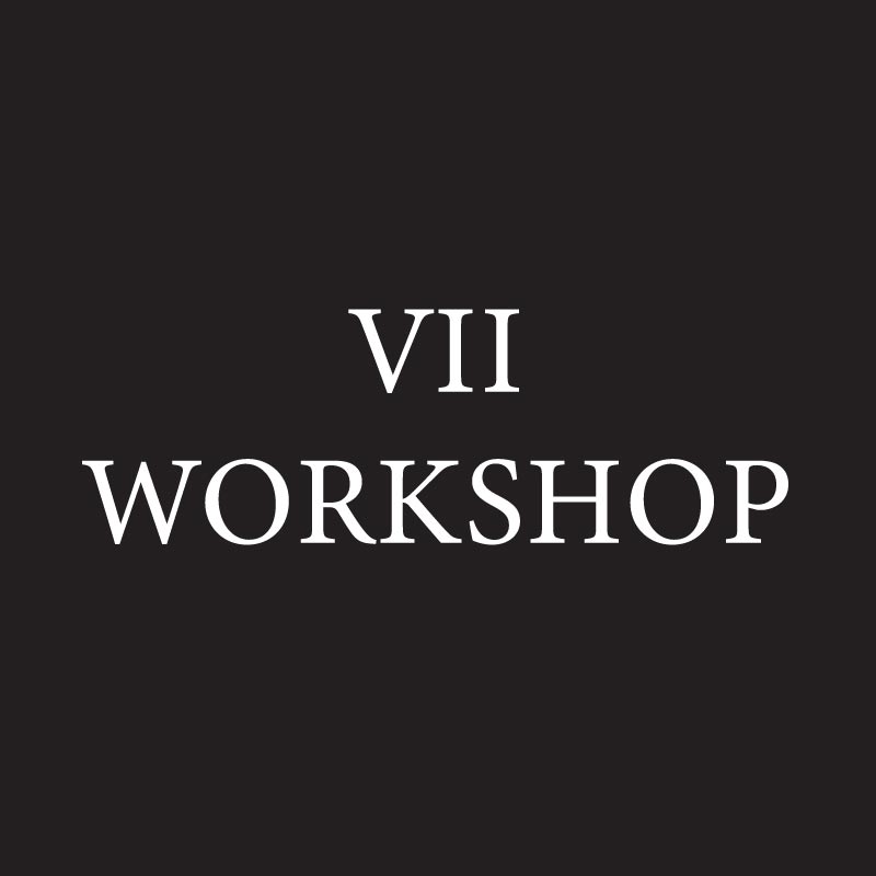 VII Workshop